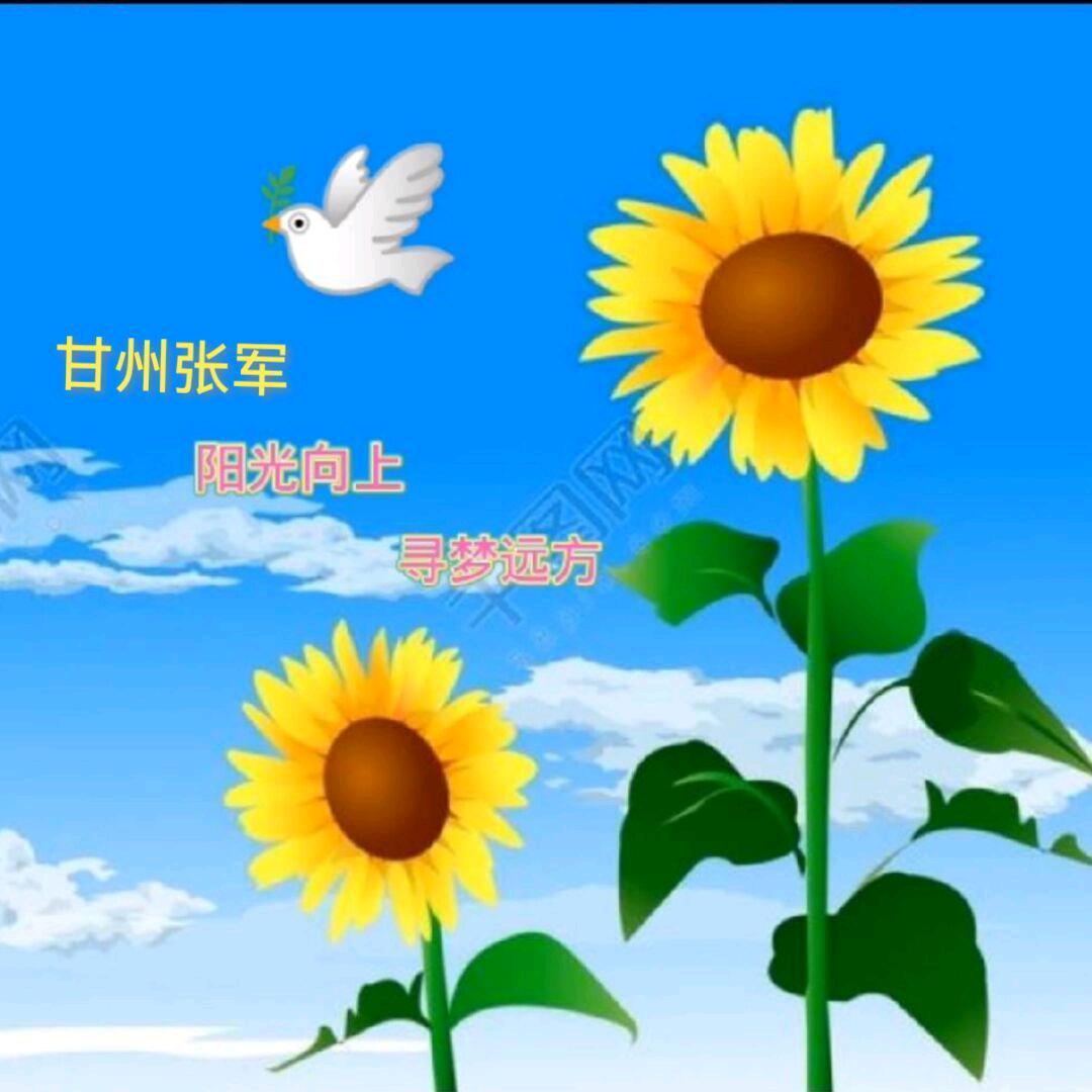 🌴寻梦天涯🌹