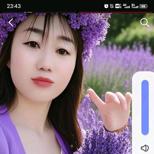 孤单的我