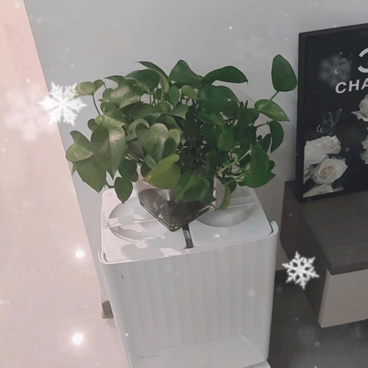 用户9813344887086白云下的我