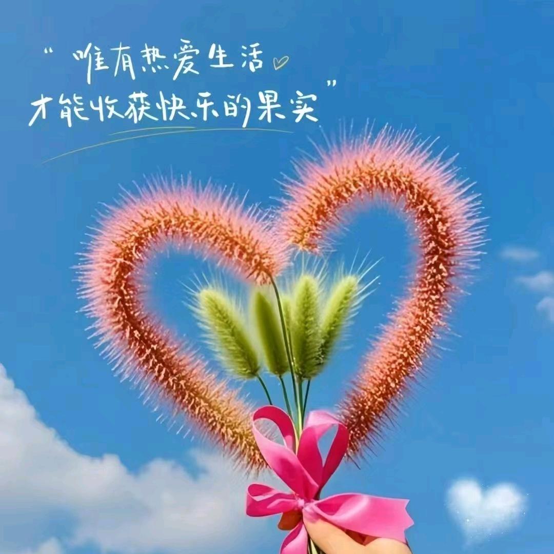 正在上岸中。