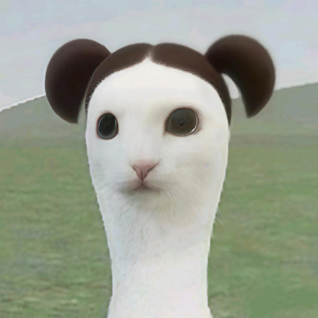 ¹朵无名小花