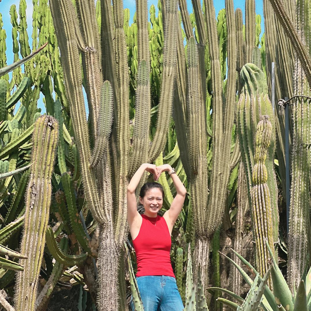 风一样的女子(ly)