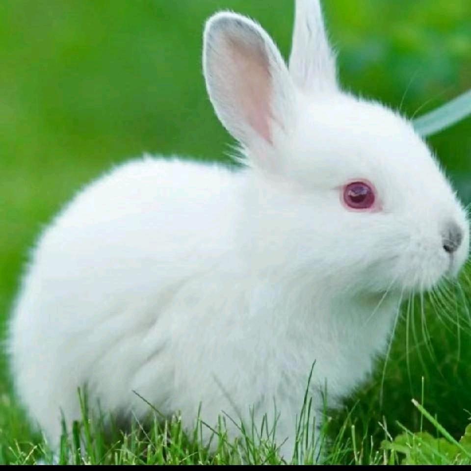 ☞&余生&随心&♥☜