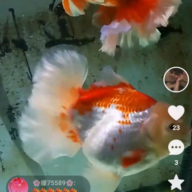 想你甜甜的微笑