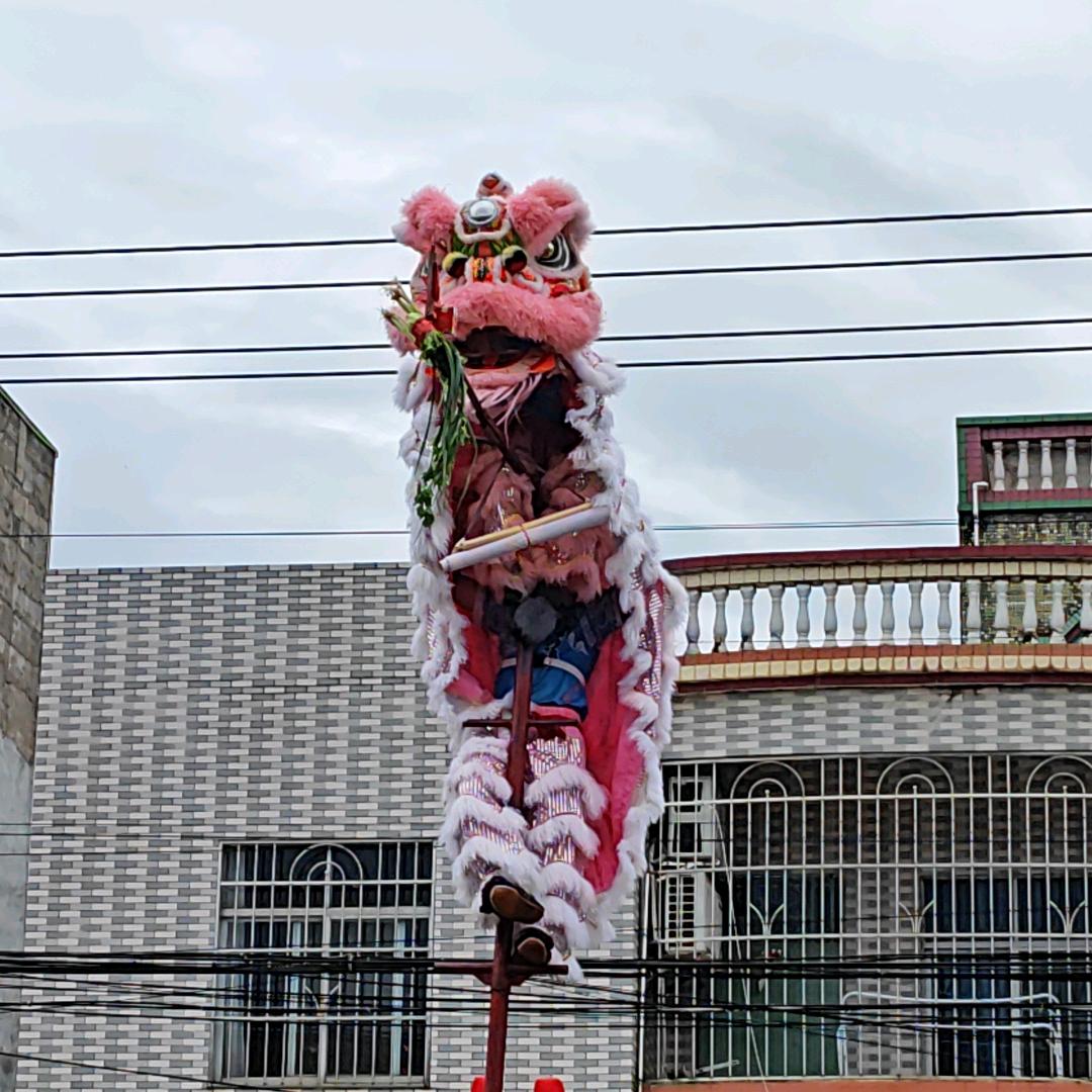 廣西義海龙狮小新🦁