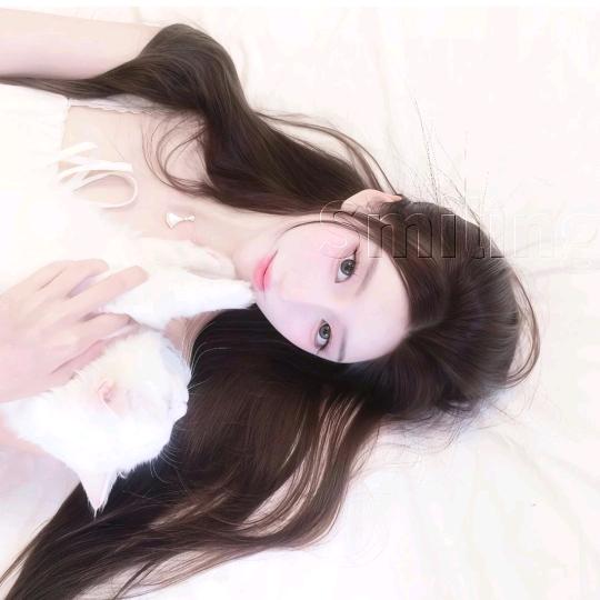 本兮