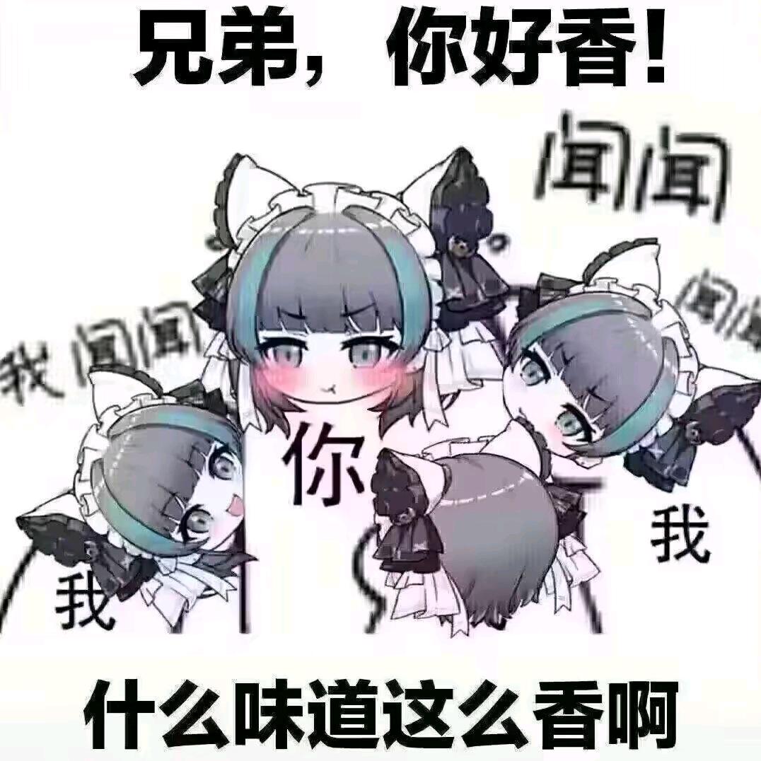 性感八腿长毛母蟑螂