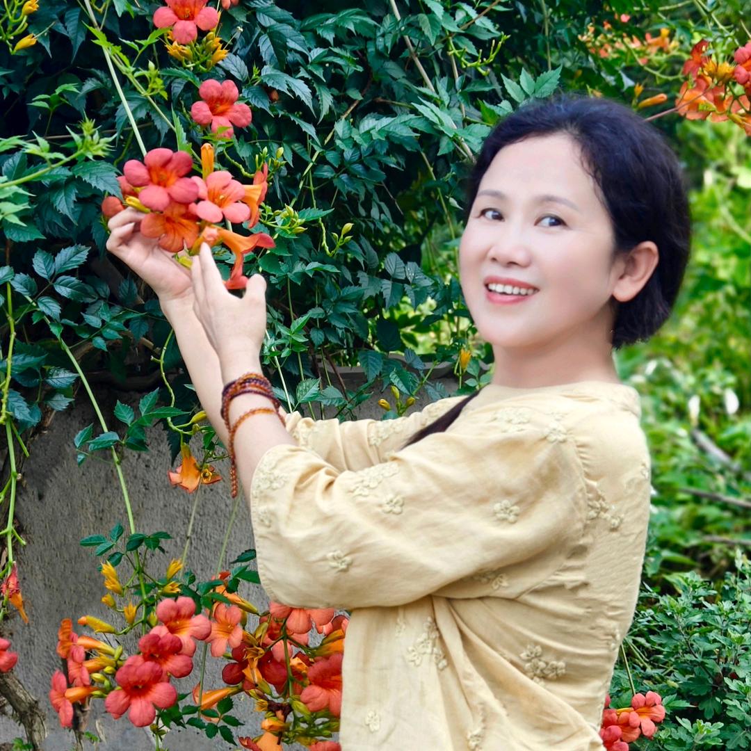 九华山青莲（倪姐）