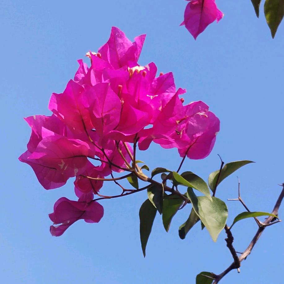 陈❤蒙❄️是🍀爱