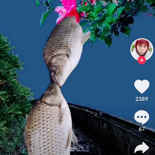一生挚爱。