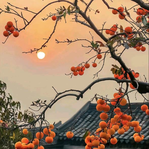 ঞ🍒好运常在꧔ꦿ᭄
