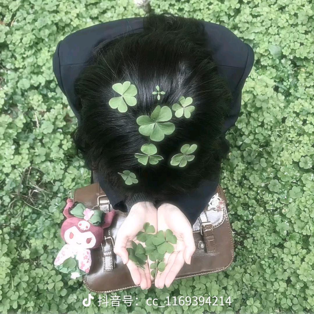 悸欣椿.