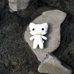 鱼虾一整碗