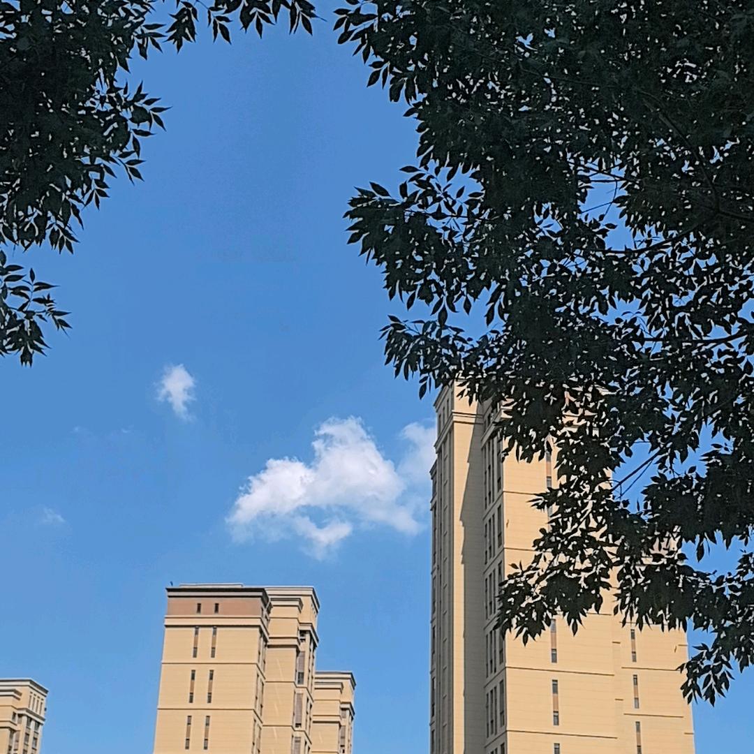 叶静花（劳动人民）