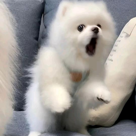 希望每天点外卖都有大额券🌚🌚