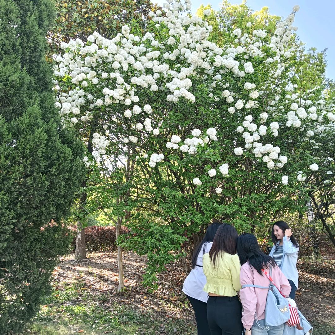 祝福