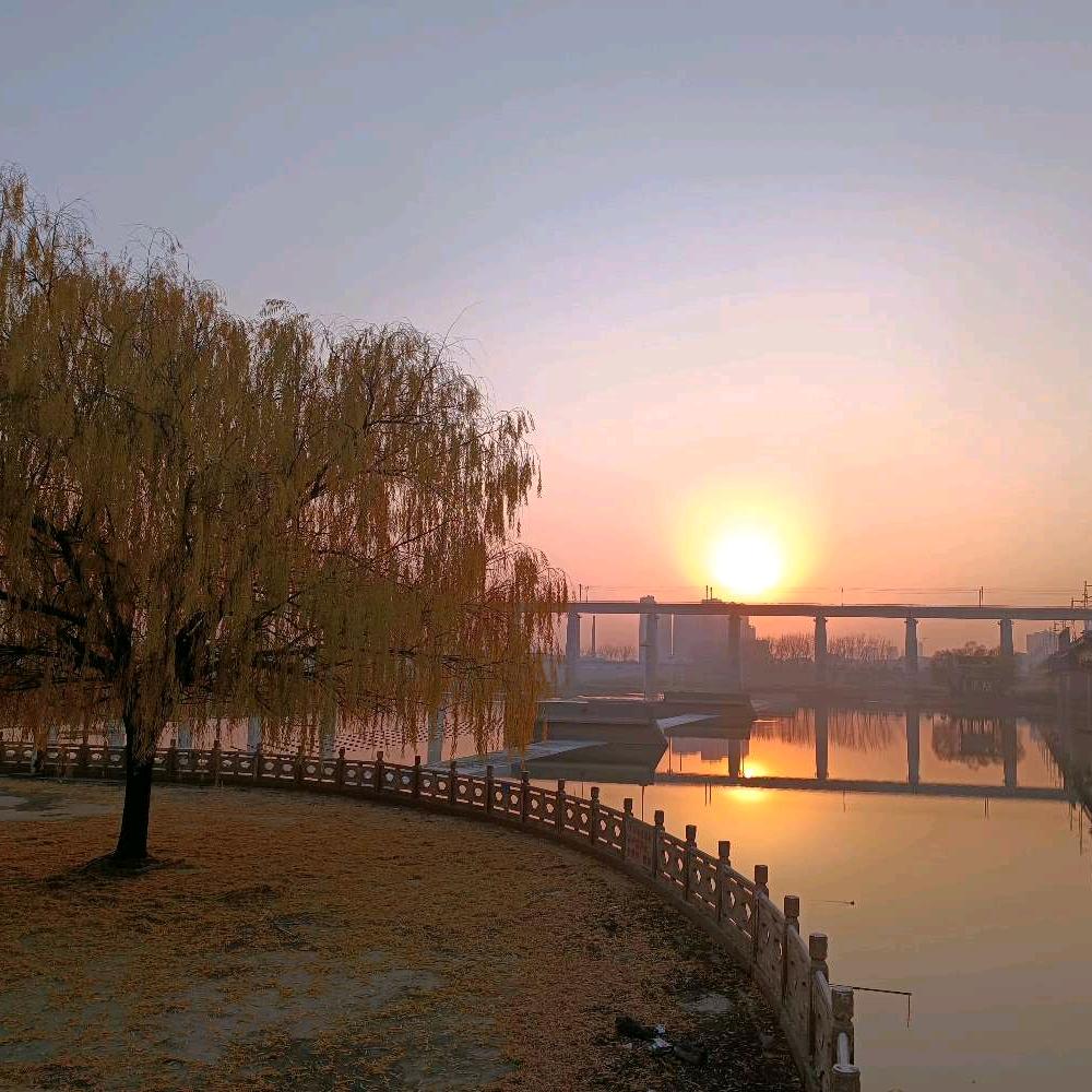 土壳马