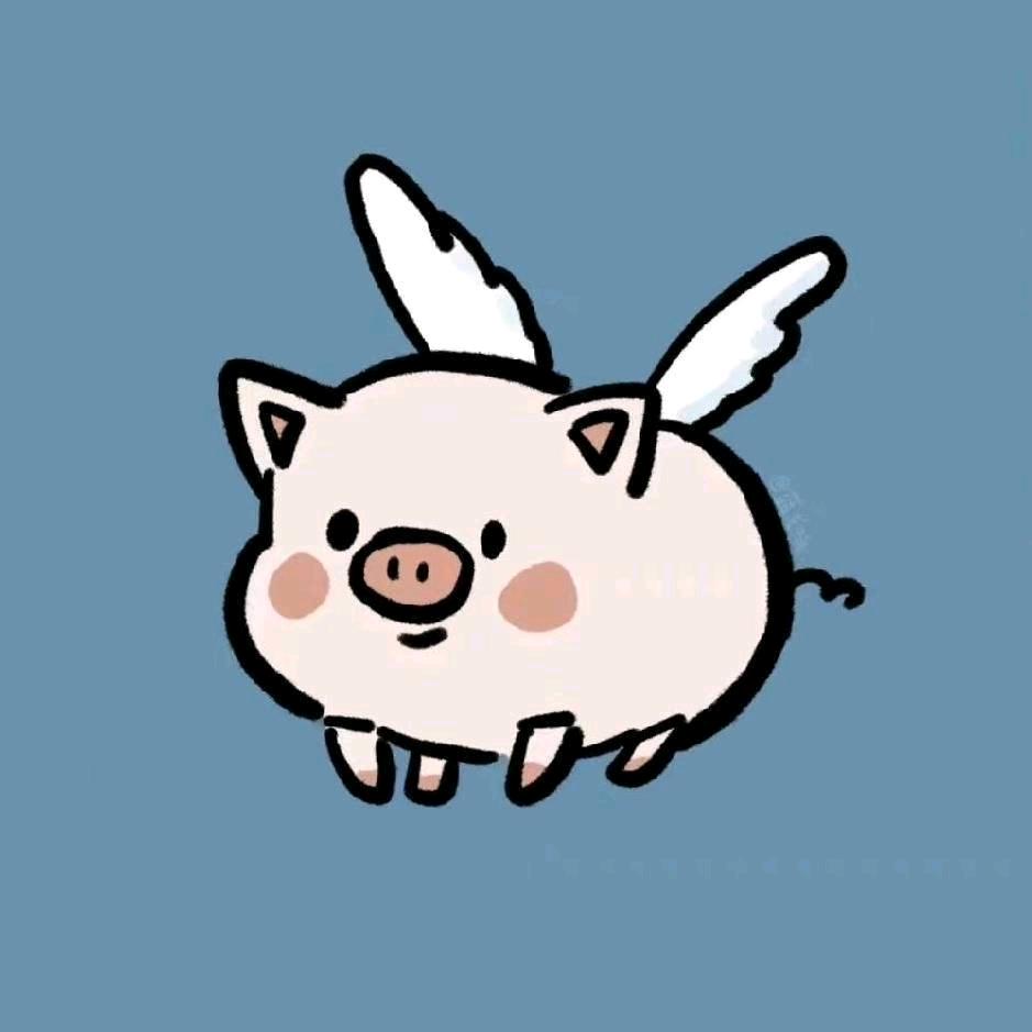 阿质