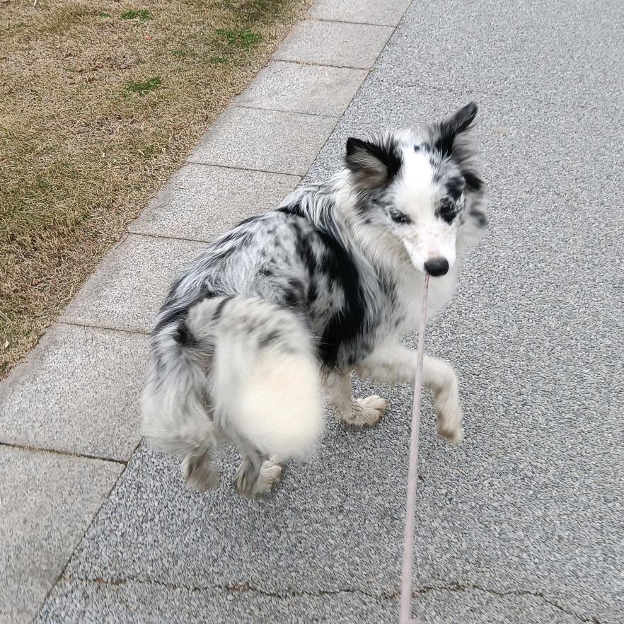 可乐小边