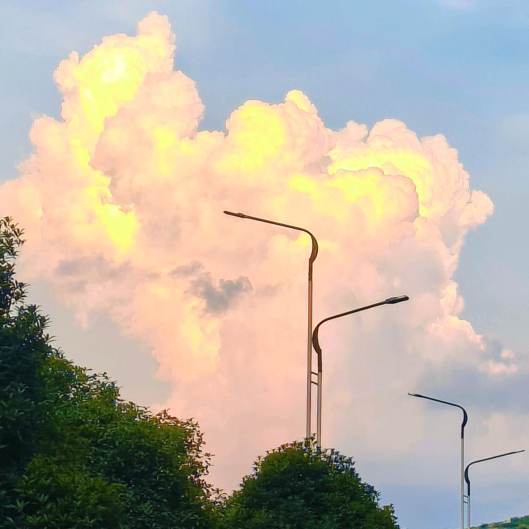 晶晶的看房日记