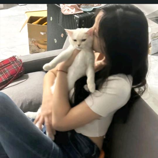 吃土豆长大的马铃薯