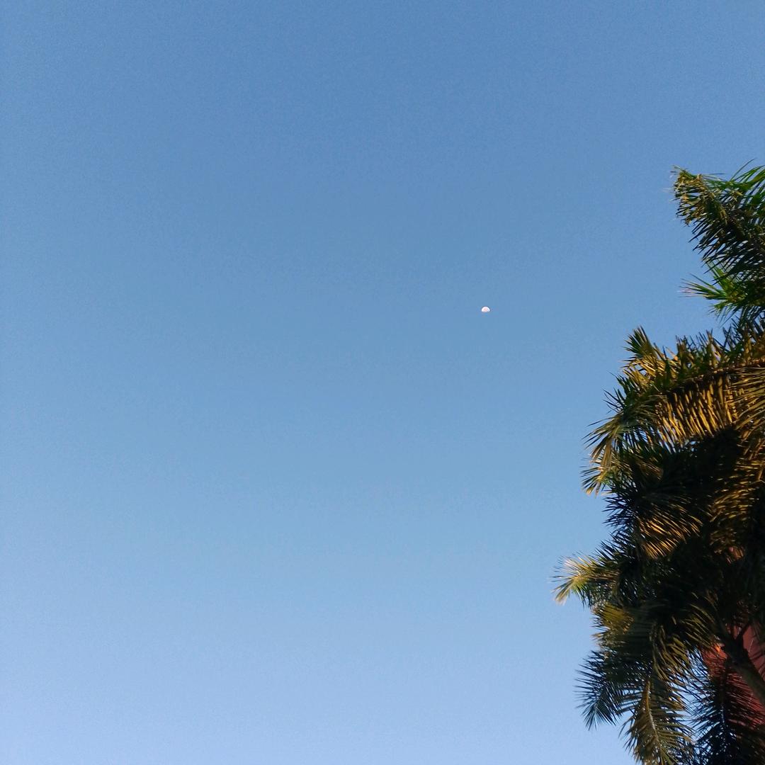 .静