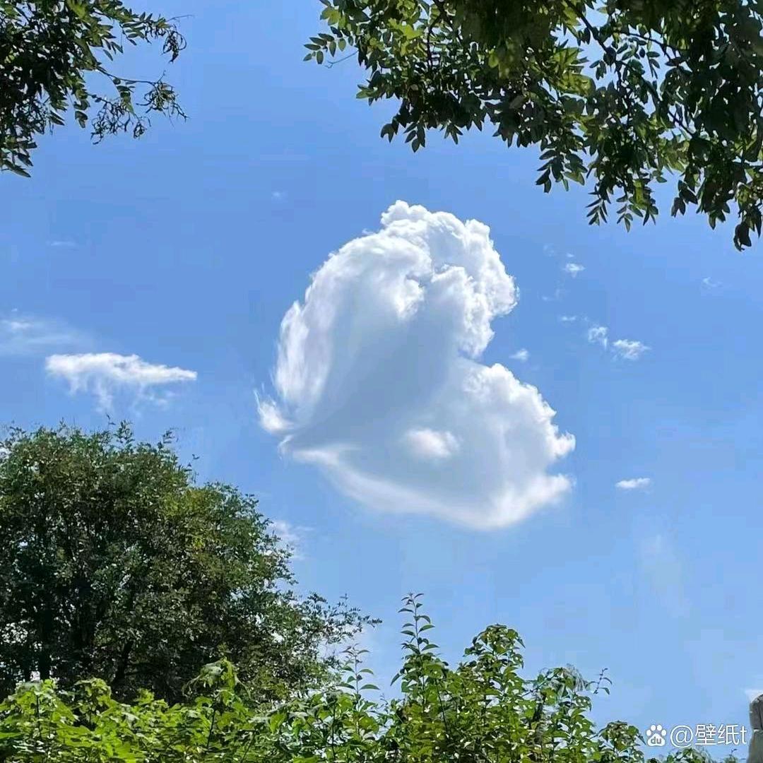 胡歌钻井