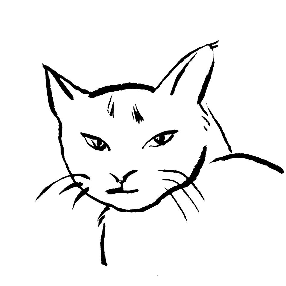 无人区野猫