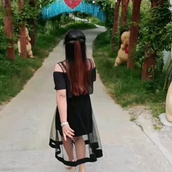 随风去流浪