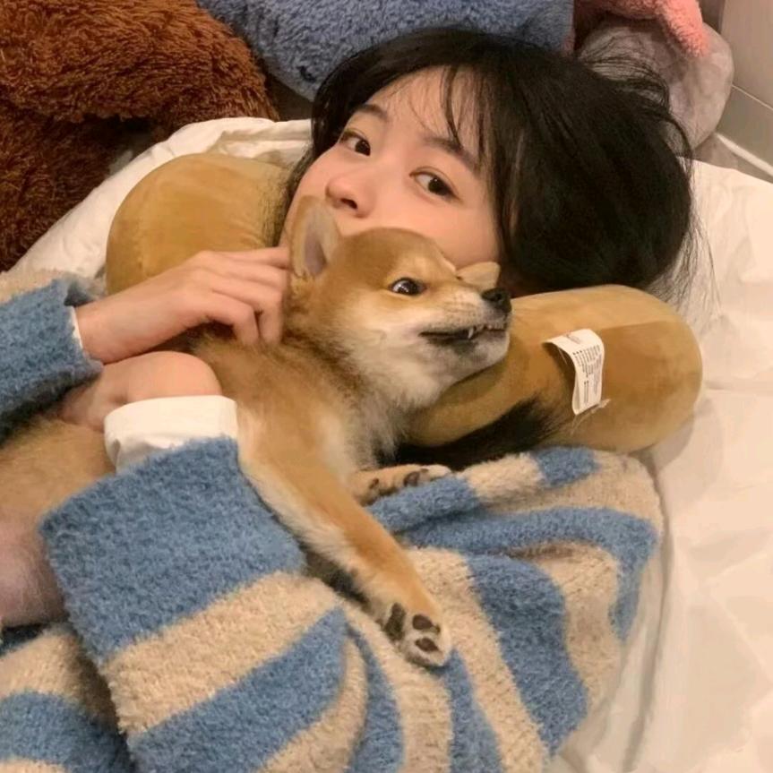 ^0^超爱狗