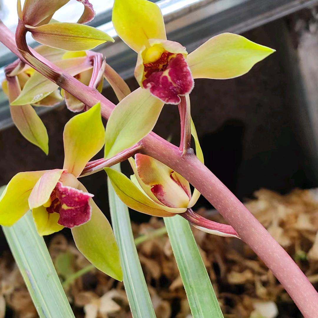 ❤️淘花运🌷🌷🌷❤️