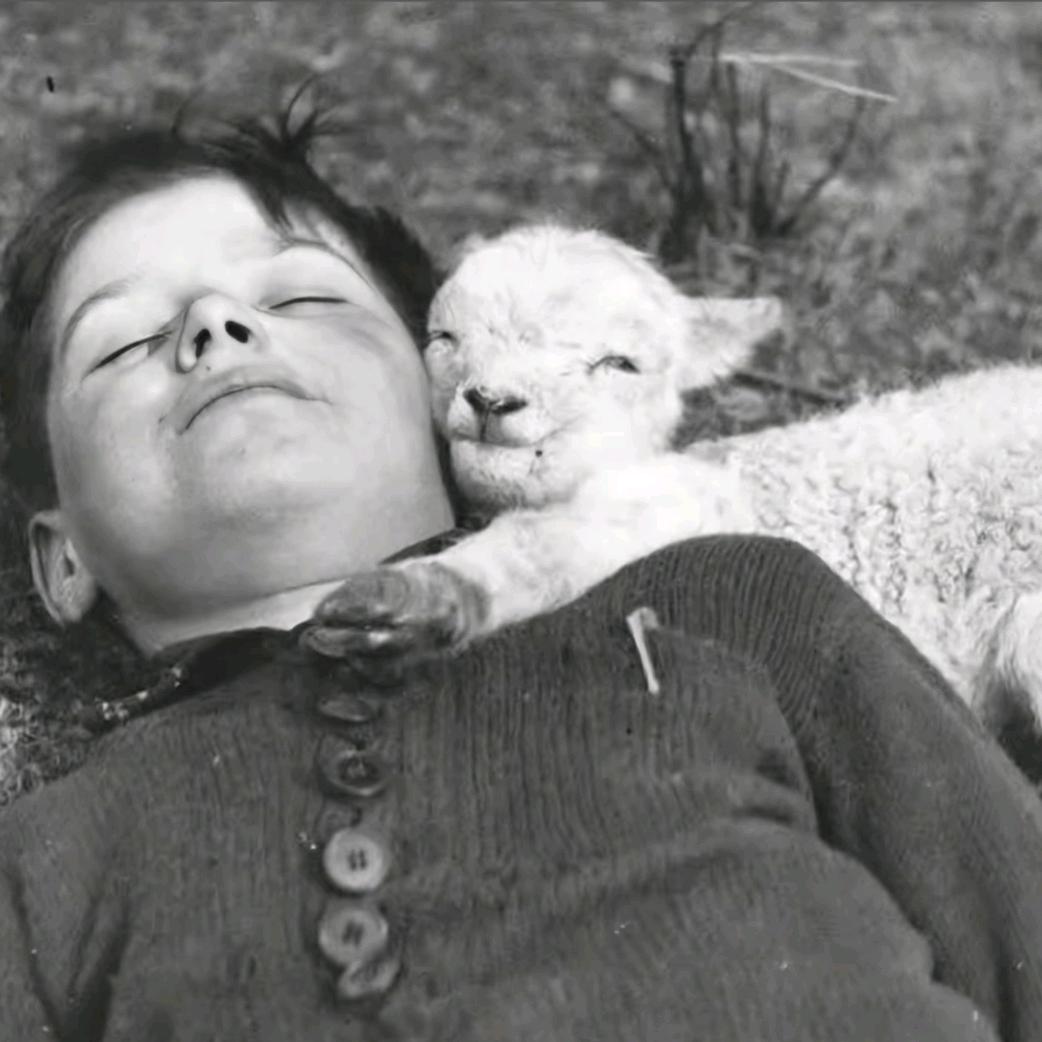 AAA解放重卡百吨王-刘师傅（只跑国道）