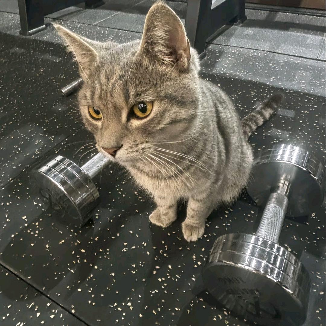 练好就穿白裤子