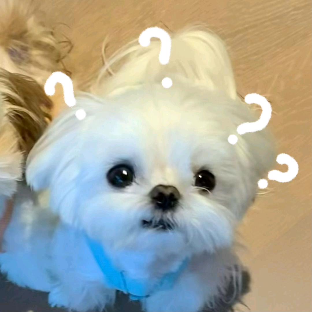 十五楼