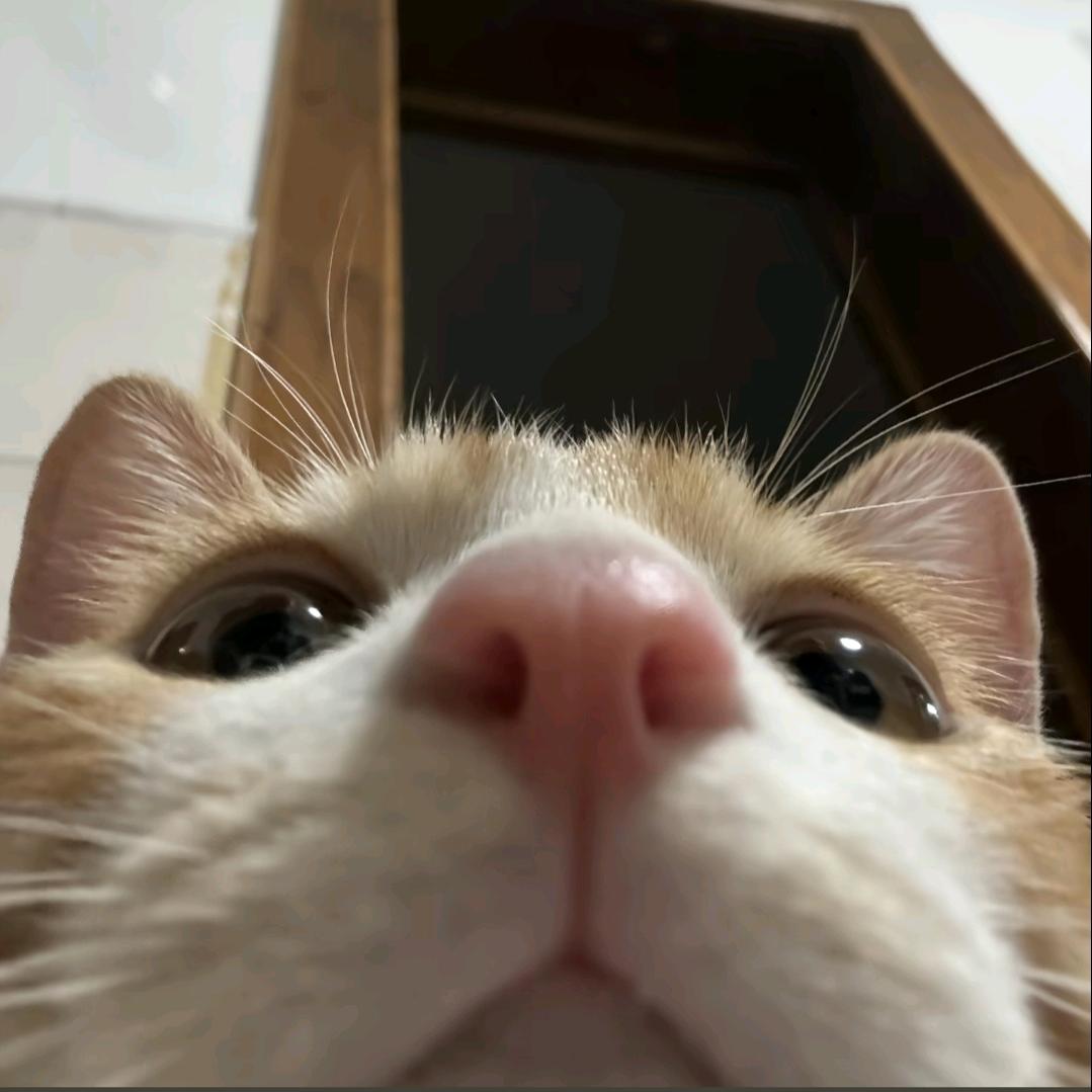 RR啊
