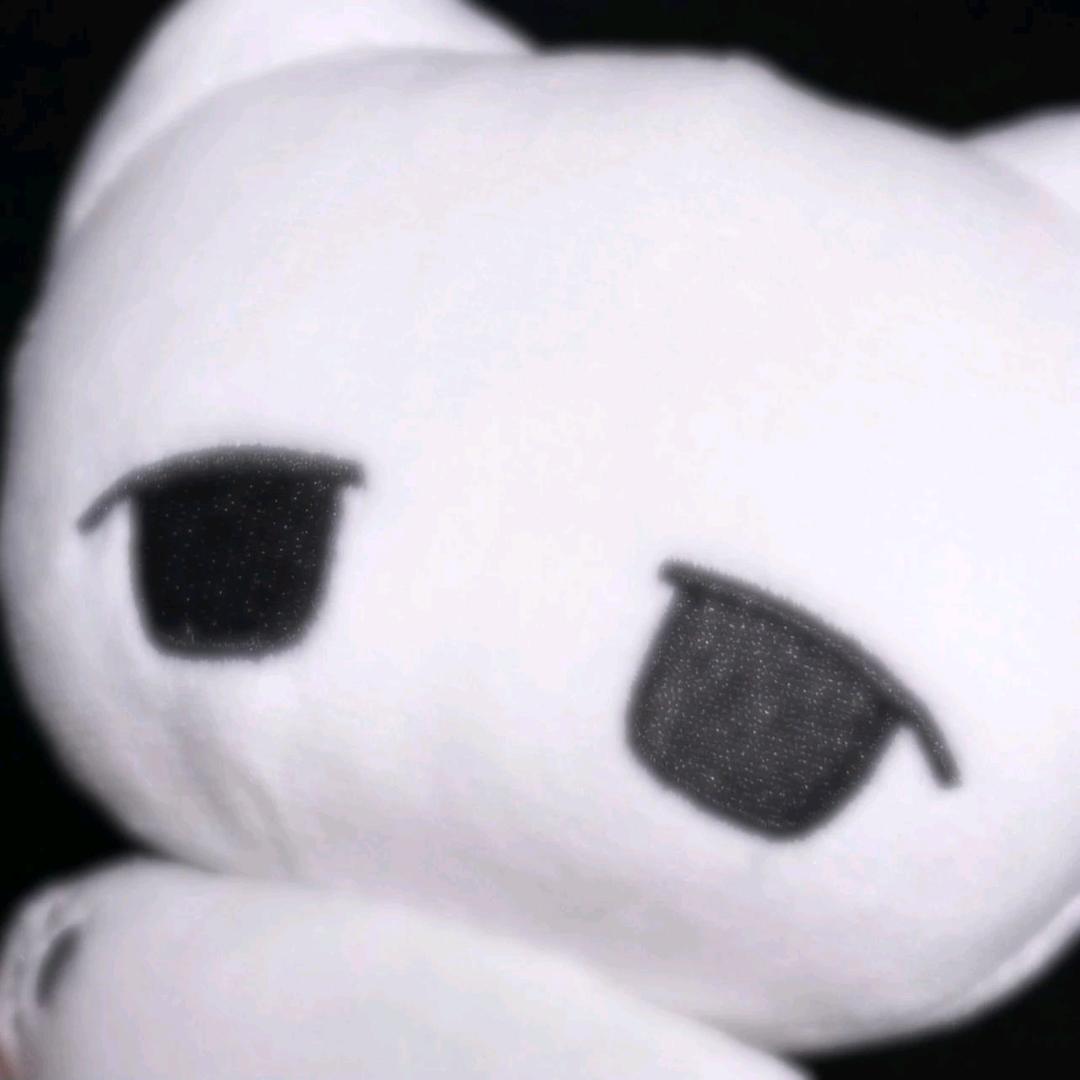 慕迟