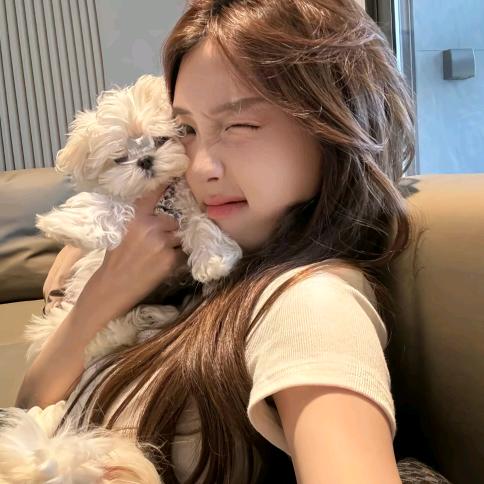 诛仙手游官服-沐沐