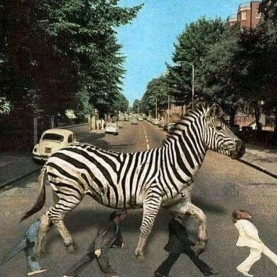 哈基米王国最后一位国王