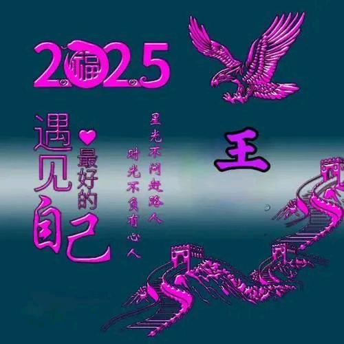 土石方专业运输团队