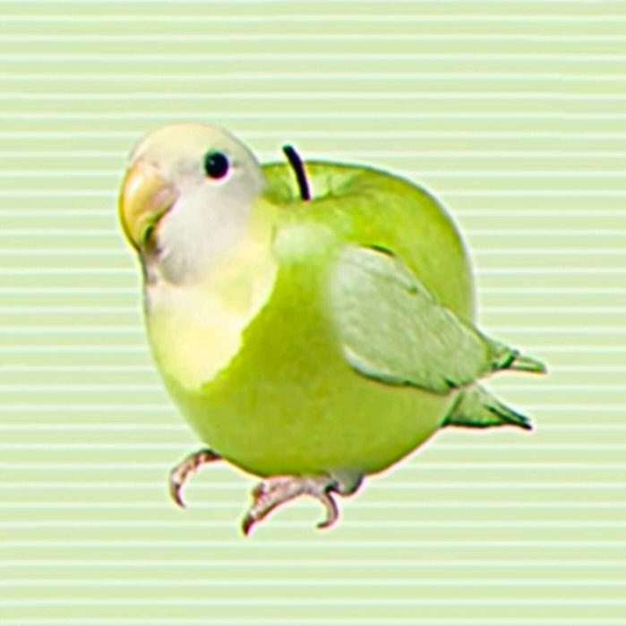oTATo