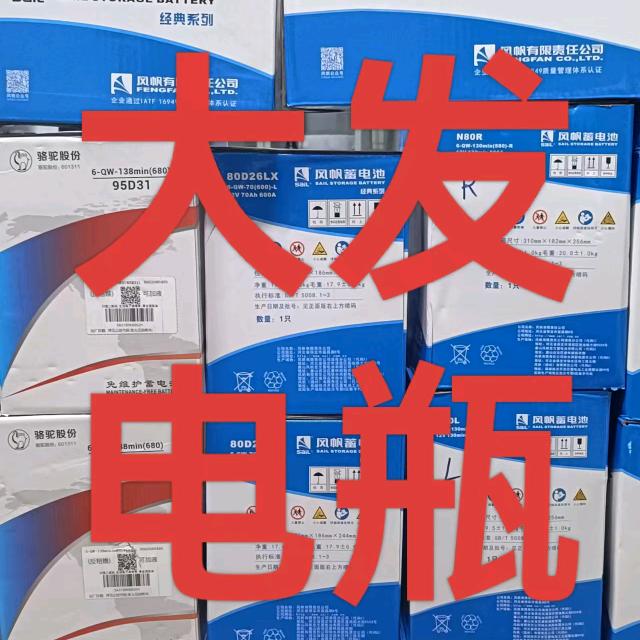 大发电瓶  ~保3年