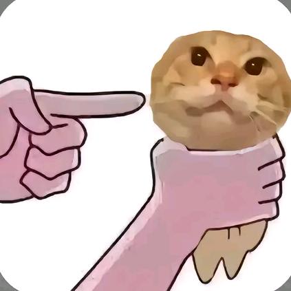 关于哈基米那点事