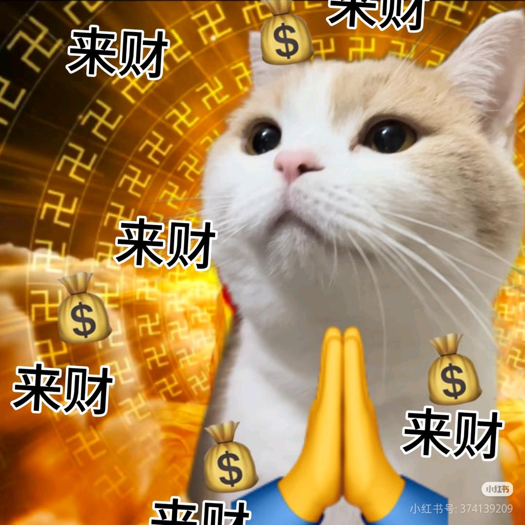 💵傻骨多财没烦恼💎