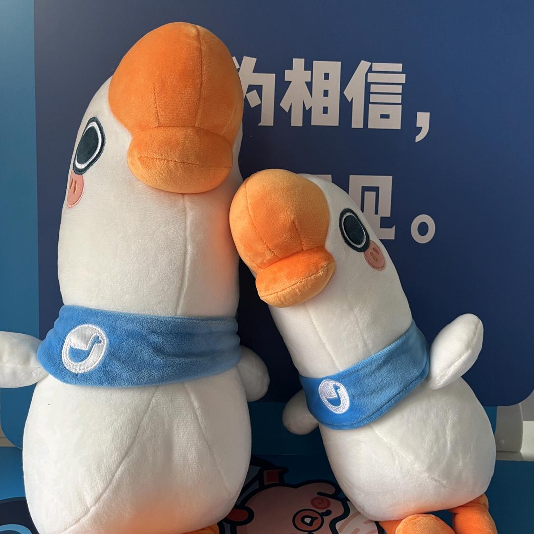 长春小鹅通私域直播小张