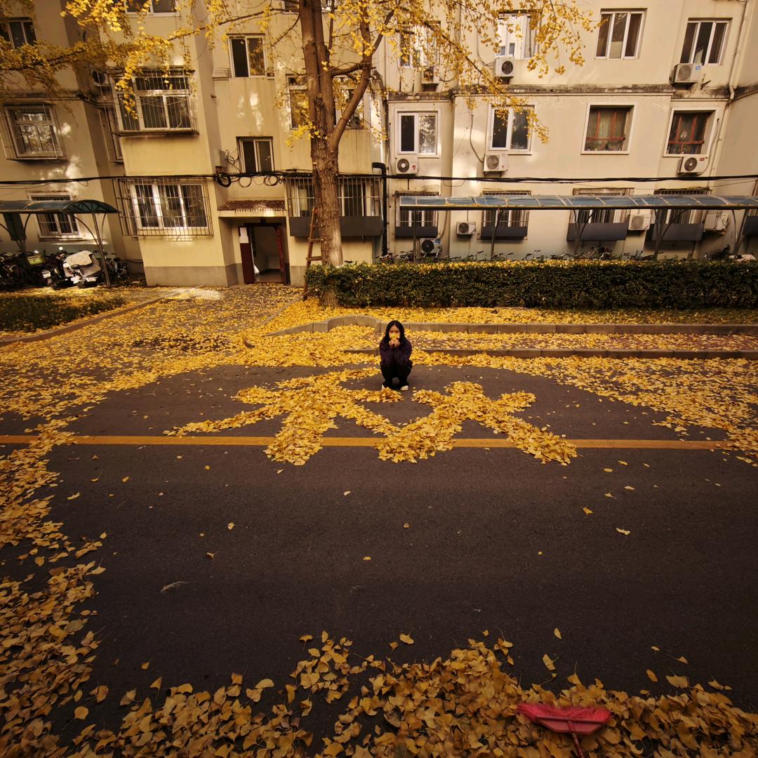 Hao爱黑秋～🇨🇳