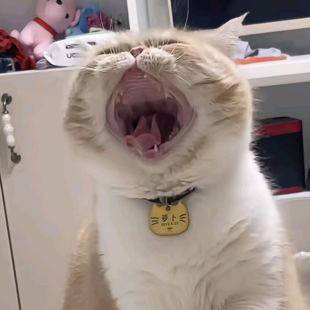 fuxi