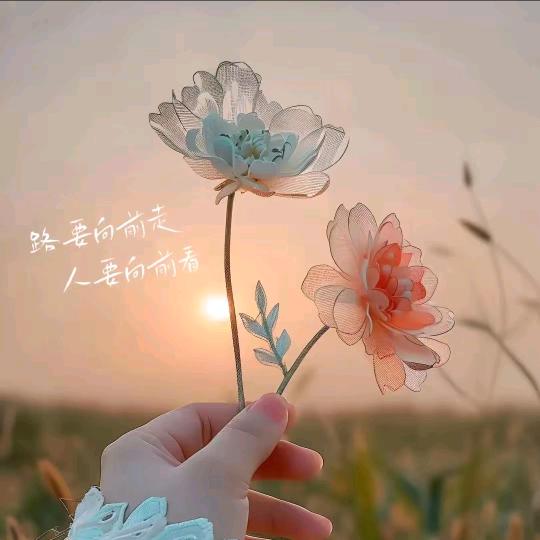 এ᭄人生如梦ꦿ༊