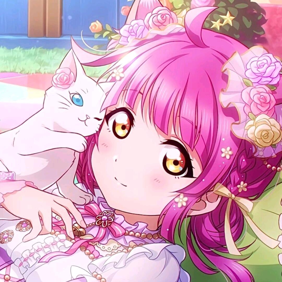 小江不是小趴菜