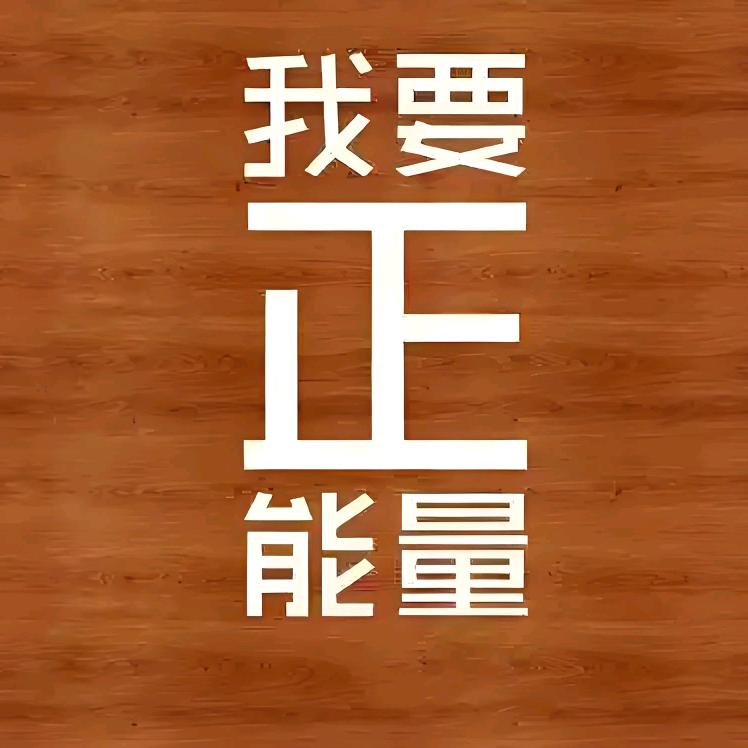 正正不得负