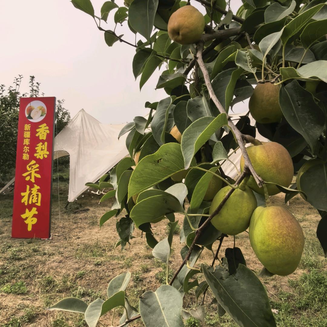 得一一小铺